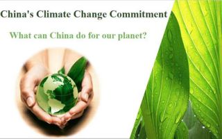 我校教师获外研社“教学之星”大赛全国复赛两项大奖