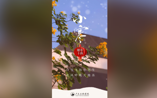 小寒逢雪舞，世界归家时