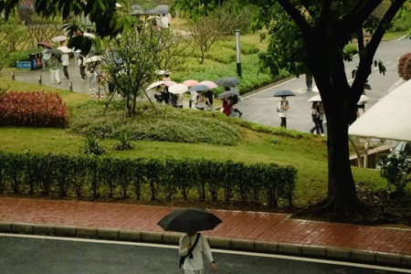雨҈雨҈雨中的东软