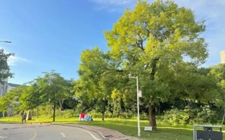 关于开展广东东软学院2024届毕业生培养质量调查评价的通知