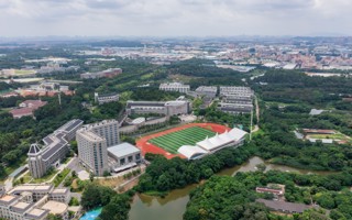 广东东软学院2025年普通专升本招生简章