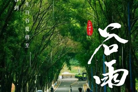 谷雨‖雨生百谷， 自在生长