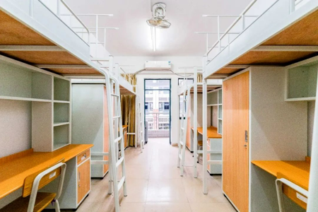 看！你未来的大学生活长这样……