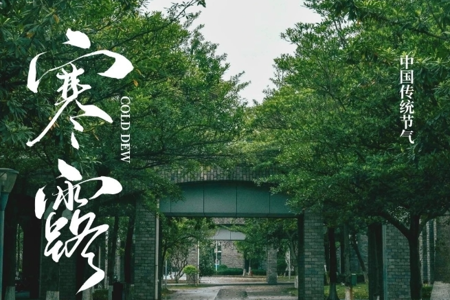 寒露｜寒生露凝，秋意渐浓