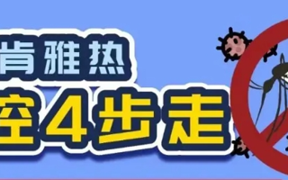 基孔肯雅热怎么防?4张图说清楚