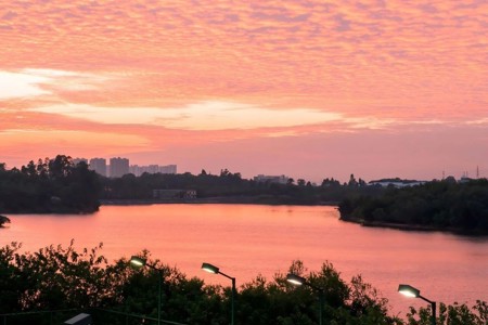 抬头看看窗外！晚霞落在校园的每一处